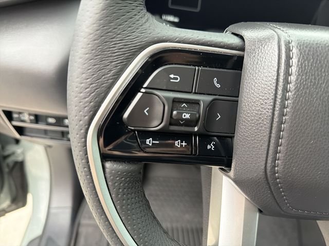 2025 Toyota Tundra Platinum - Photo 17