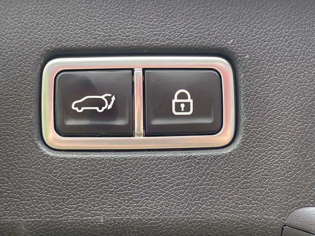 Used 2022 Green Kia X-Line SX Prestige image 10