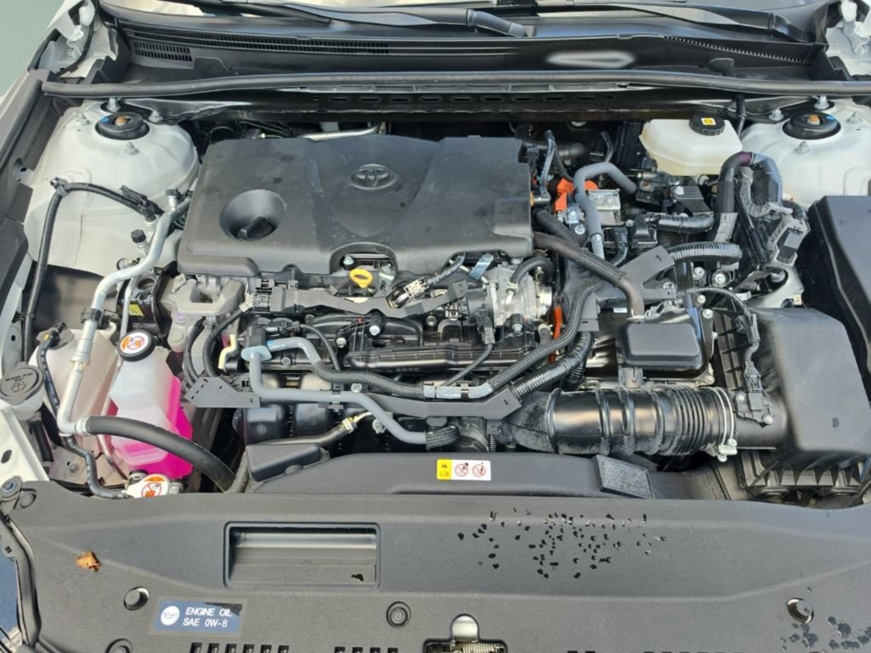 Used 2025 Off-white Toyota XSE image 10