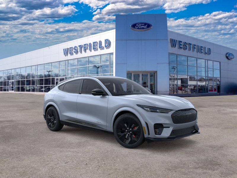 2025 Ford Mustang Mach-E GT - Photo 29