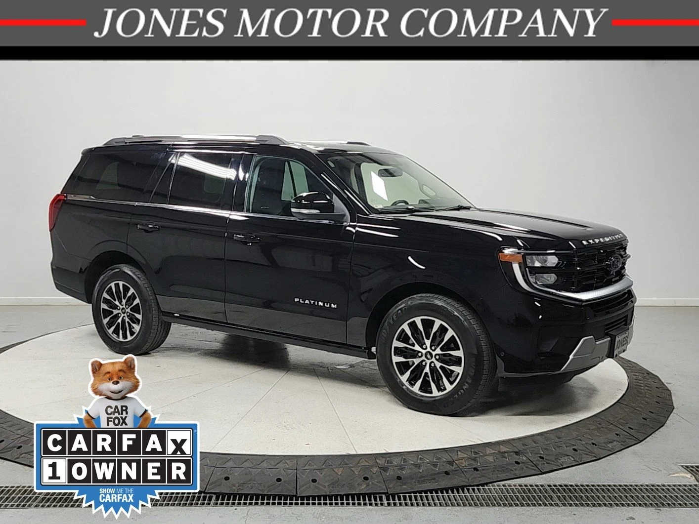 2025 Ford Expedition Platinum 4x4's photo