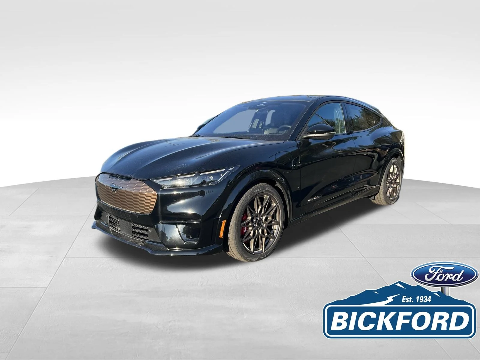 2025 Ford Mustang-Mach-e GT's photo