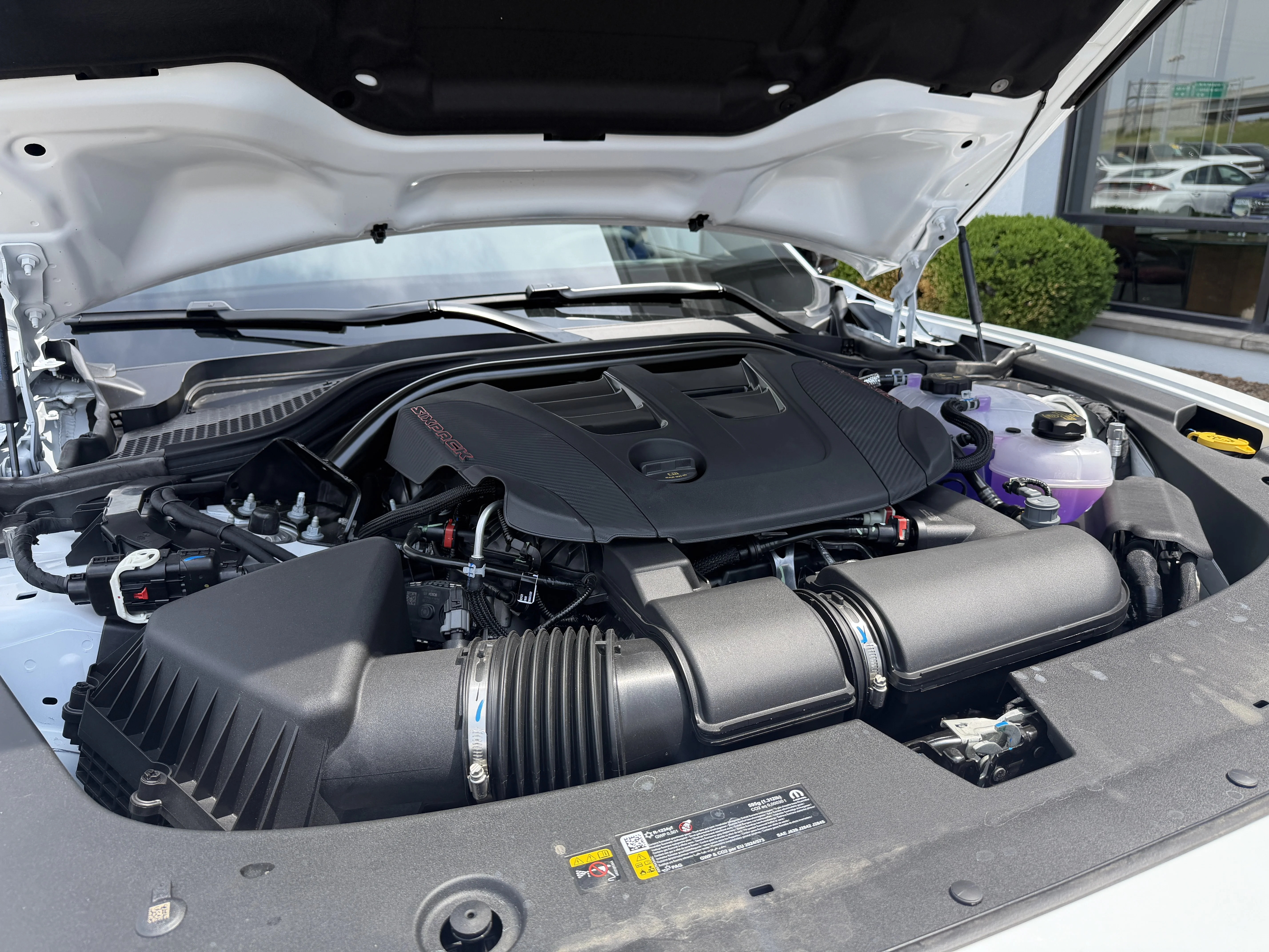 New 2026 White Knuckle Exterior Paint Dodge Scat Pack Plus image 18