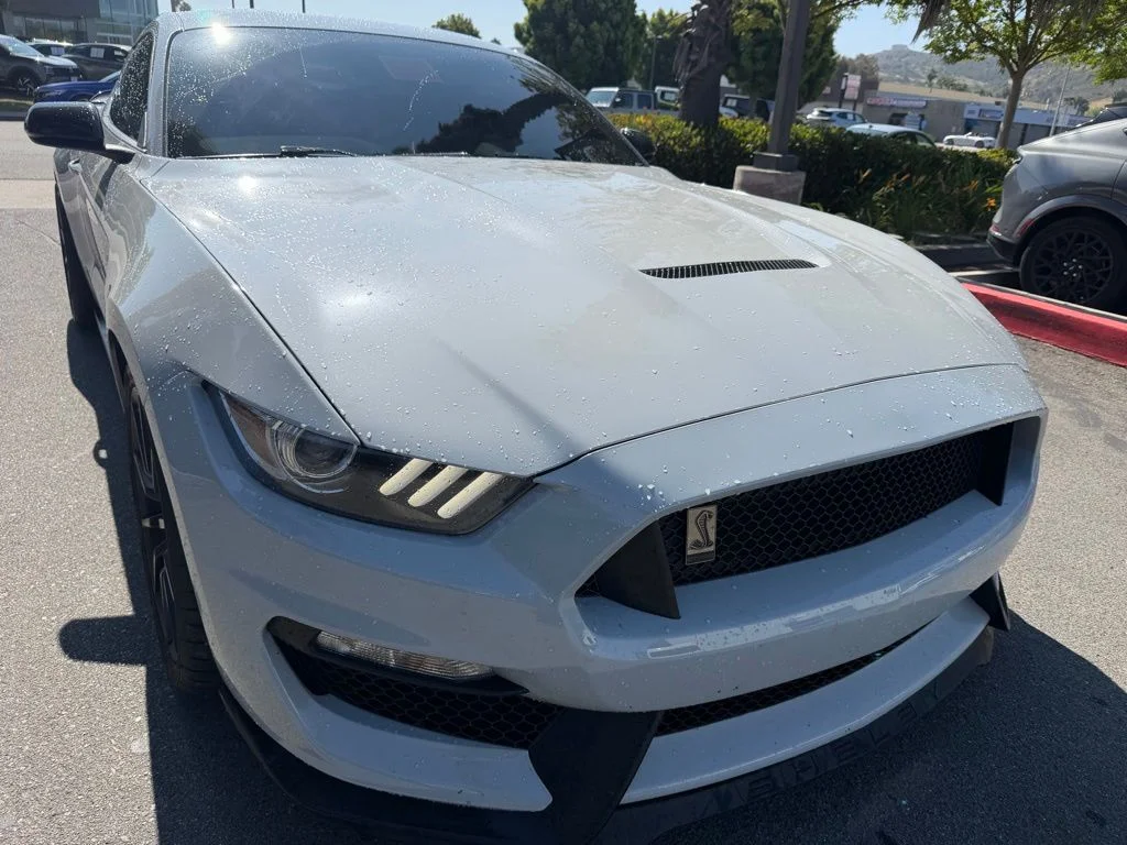 2017 Ford Mustang Shelby GT350's photo