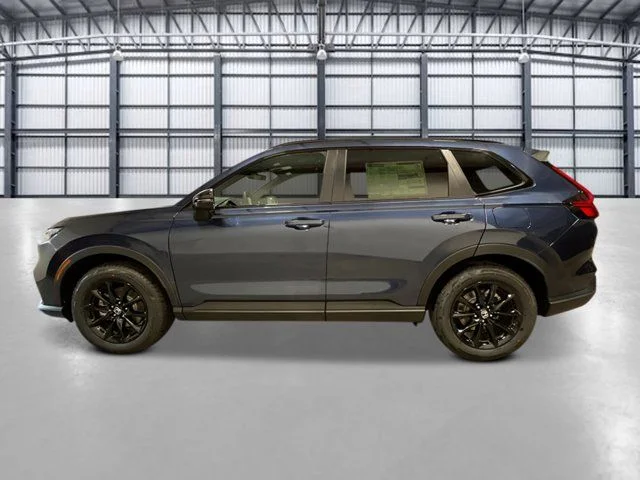 New 2026 Blue Honda Sport-L image 2