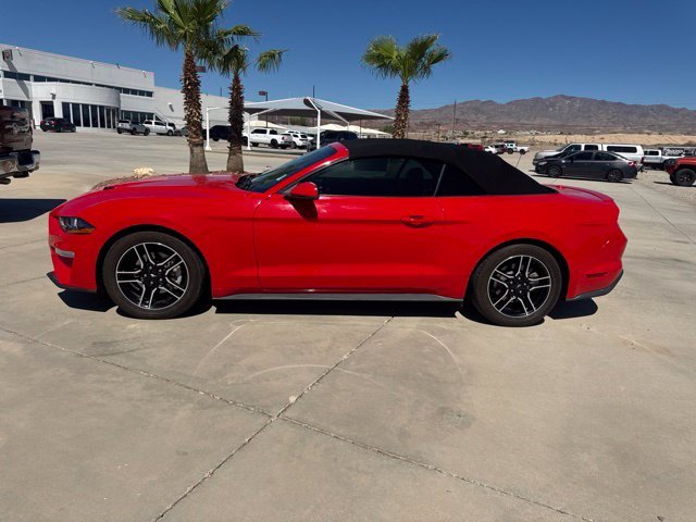 Certified 2019 Ford Mustang EcoBoost Premium with VIN 1FATP8UH9K5106546 for sale in Lake Havasu City, AZ