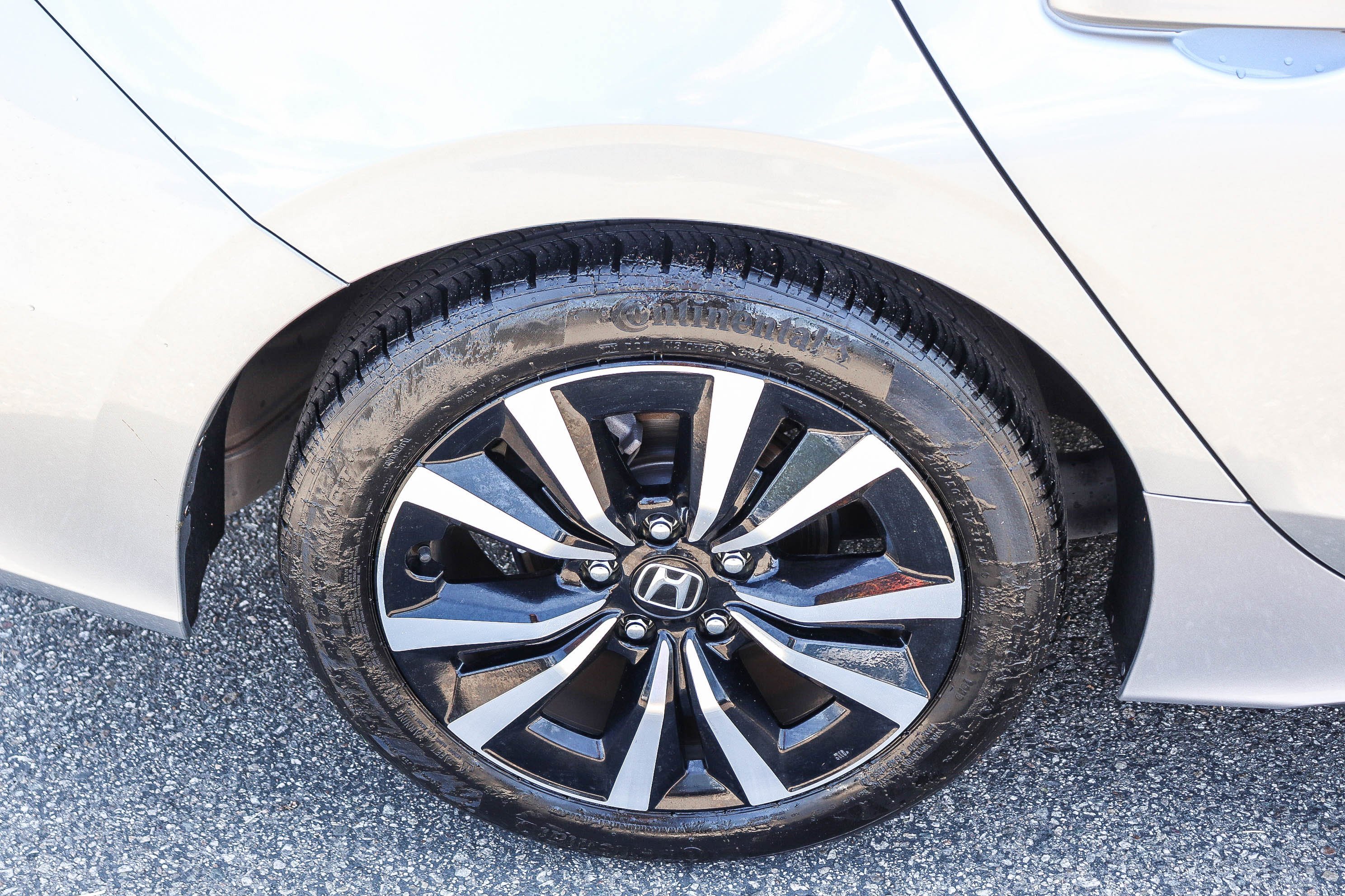 2024 Honda Civic Hatchback EX-L - Photo 8