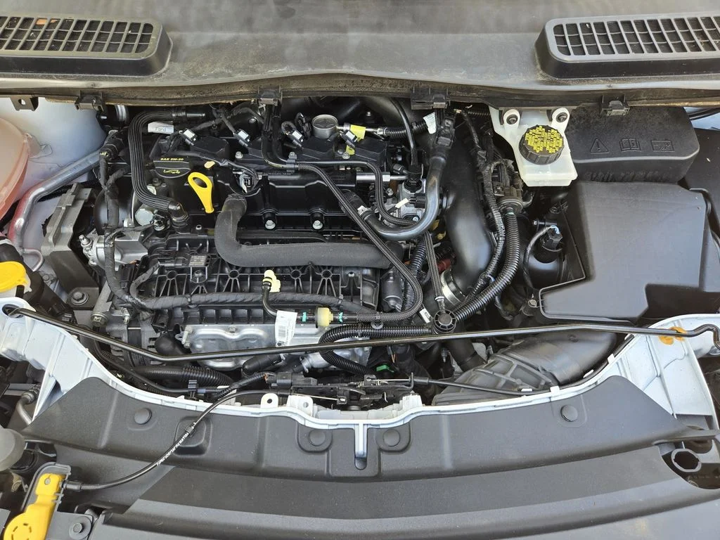 2019 Ford Escape SE - Photo 20
