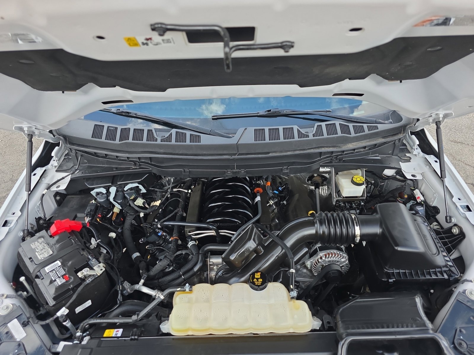 Used 2024 White Ford Tremor image 20