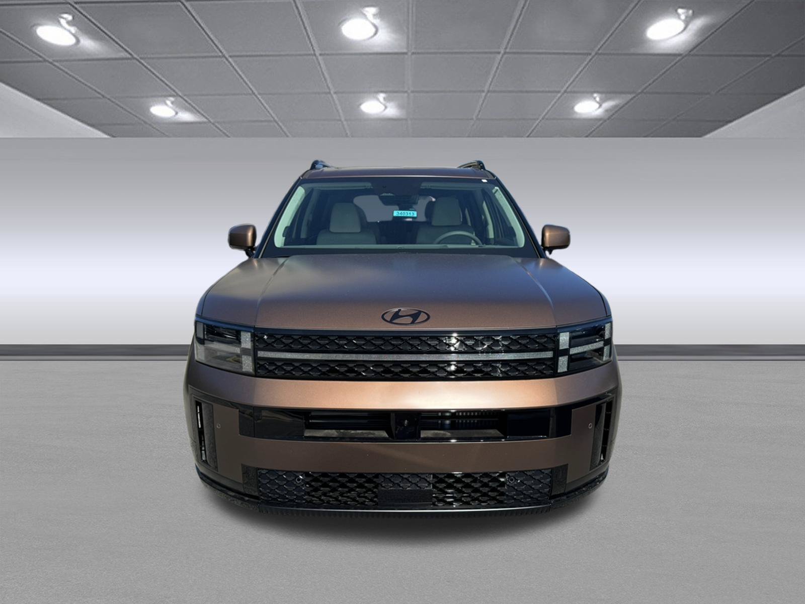 New 2026 Earthy Brass Matte Hyundai Calligraphy image 2