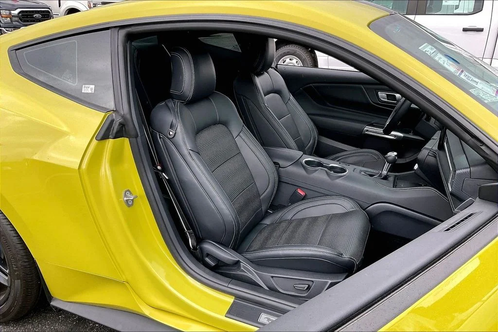 2025 Ford Mustang EcoBoost Premium Fastback - Photo 6
