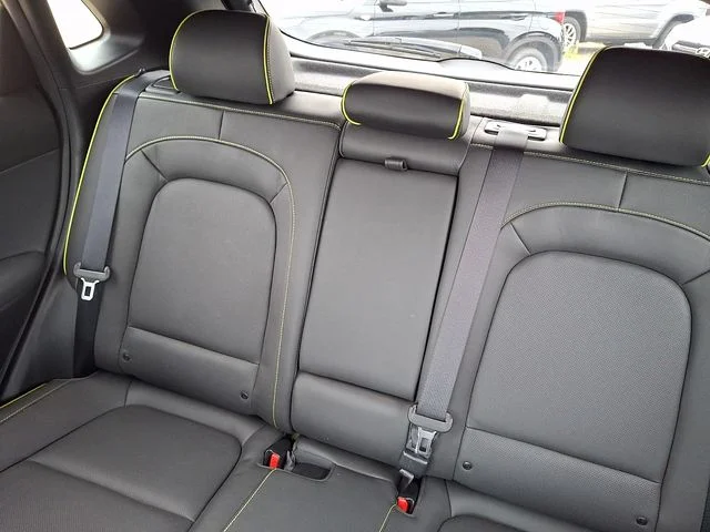 Used 2019 Green Hyundai Ultimate image 18