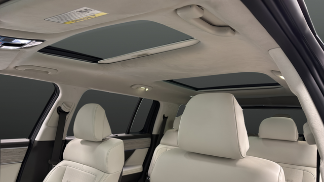 Used 2025 Ecotronic Gray Matte Hyundai Calligraphy image 12