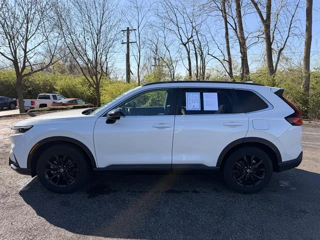 Certified Used 2024 Platinum White Pearl Honda Sport-L image 6