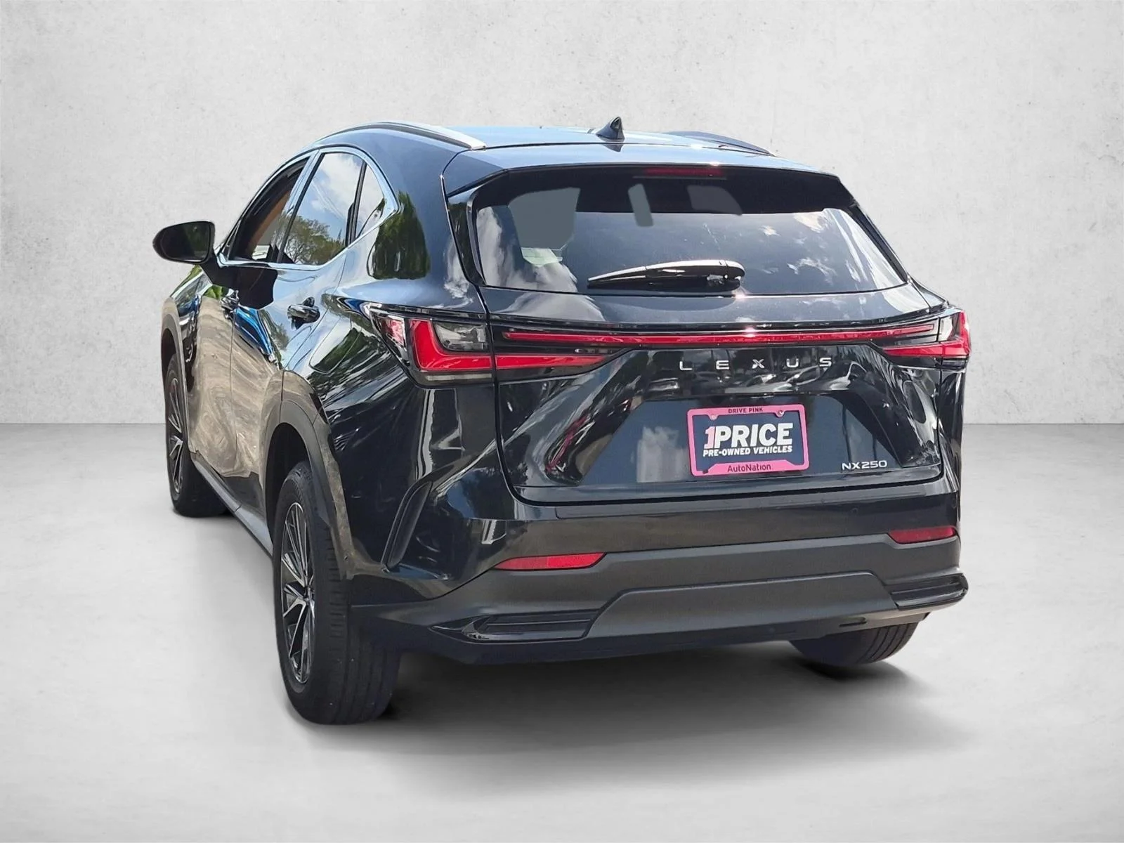 2025 Lexus NX 250 - Photo 8