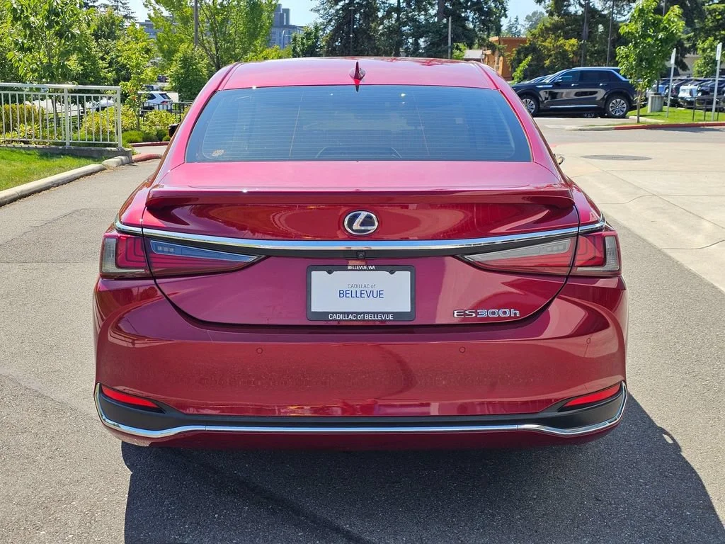 Used 2019 Maroon Lexus ES 300h image 4