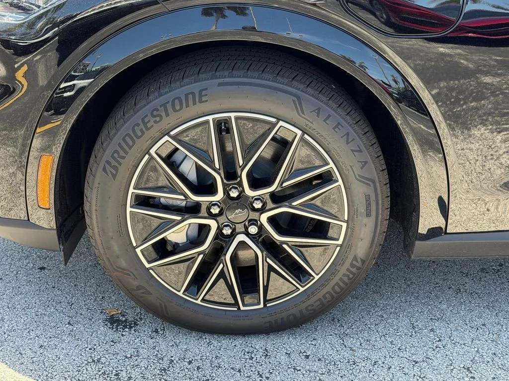 New 2026 Shadow Black Ford Premium image 13