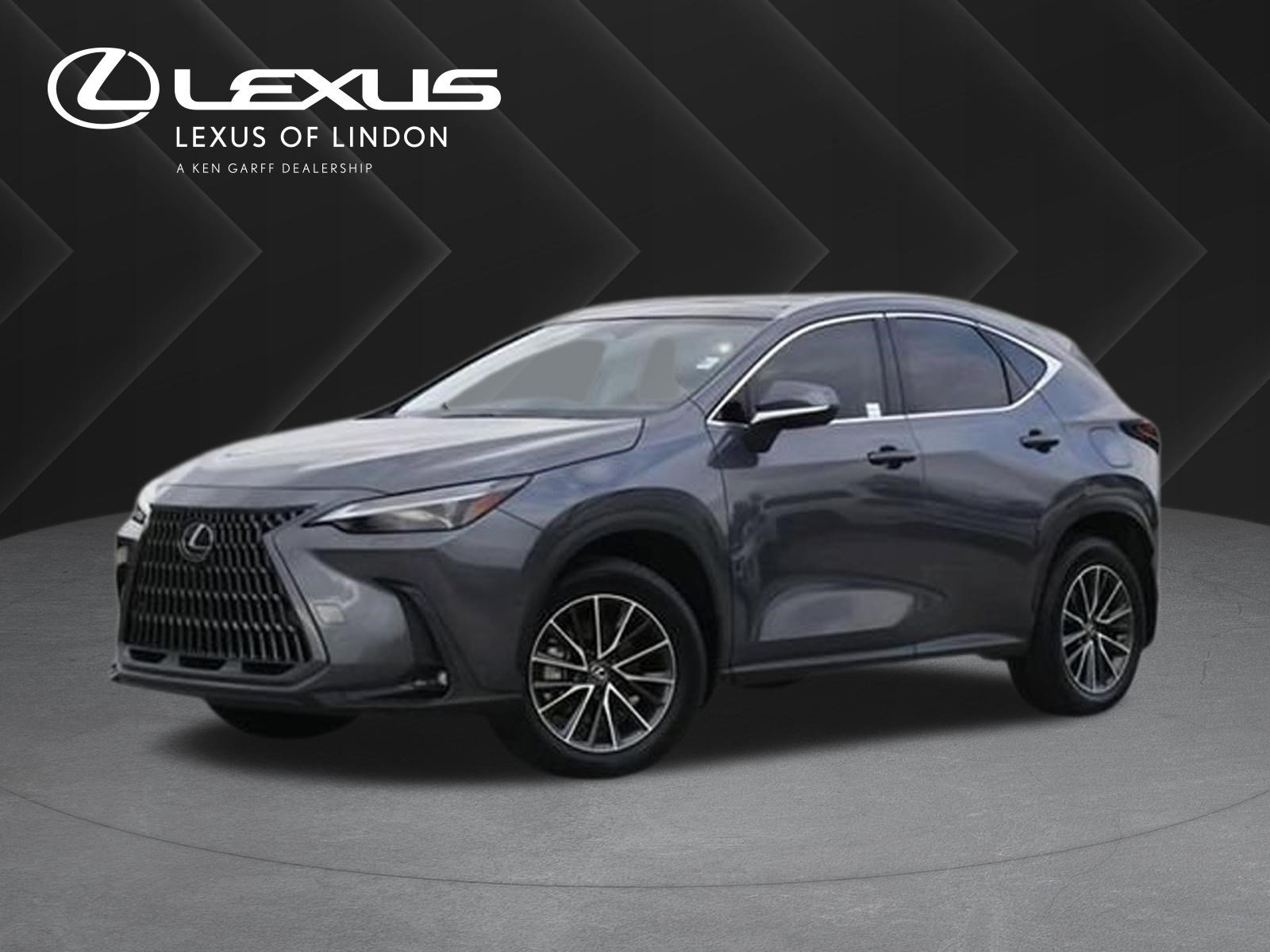 2025 Lexus NX 350h 350h Luxury AWD's photo