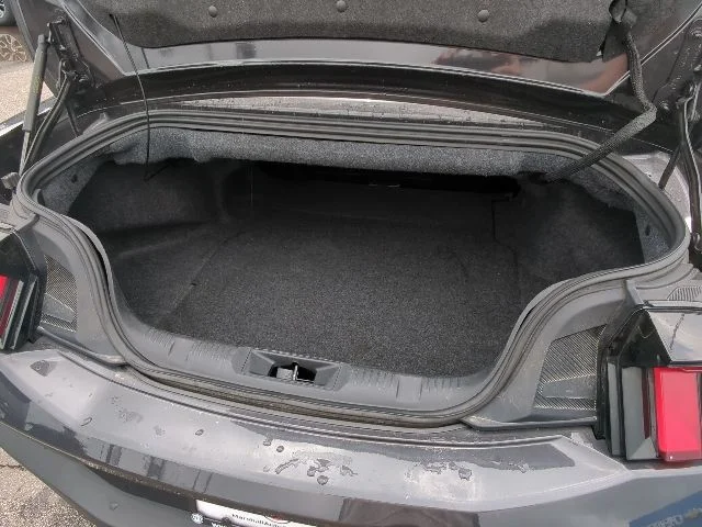 Used 2024 Gray Ford EcoBoost Premium image 33