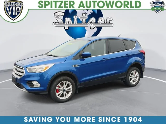 Used 2019 Blue Ford SE image 4