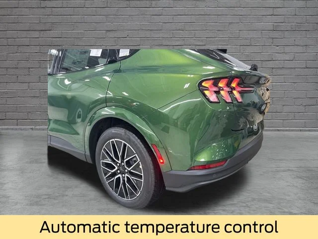New 2026 Eruption Green Metallic Ford Premium image 9