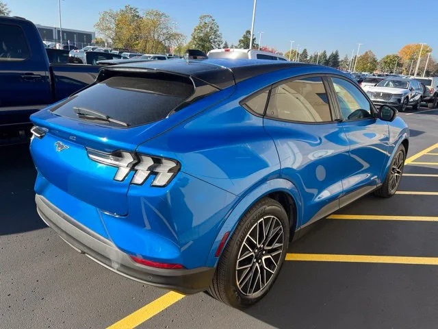 Used 2025 Blue Ford Premium image 2