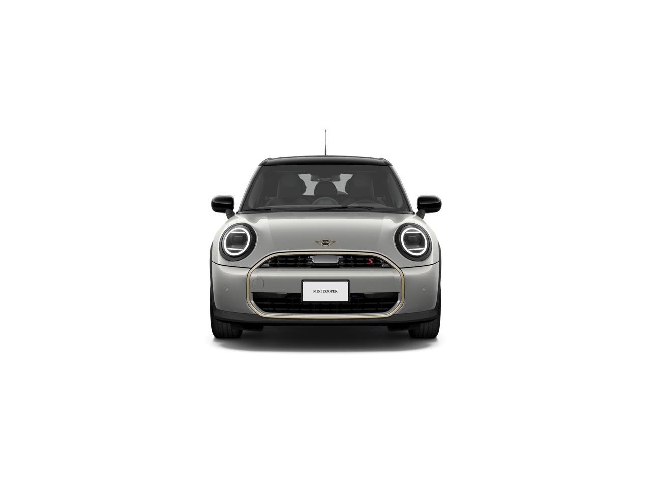 New 2027 Melting Silver III Metallic MINI SIGNATURE PLUS image 2