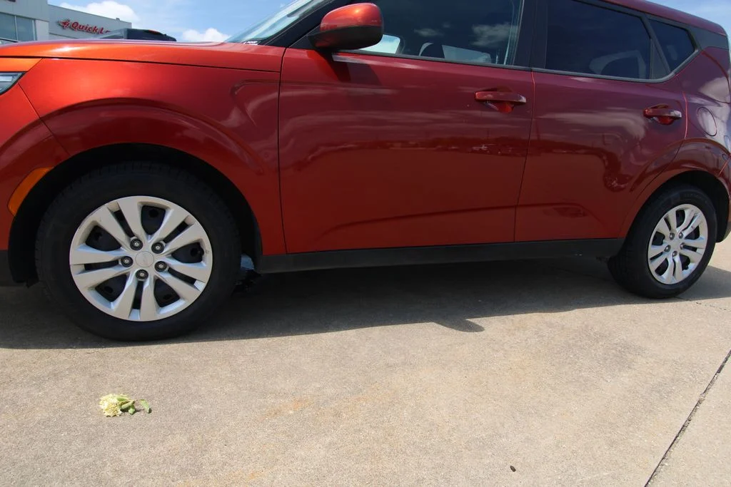 Used 2023 Orange Kia LX image 10