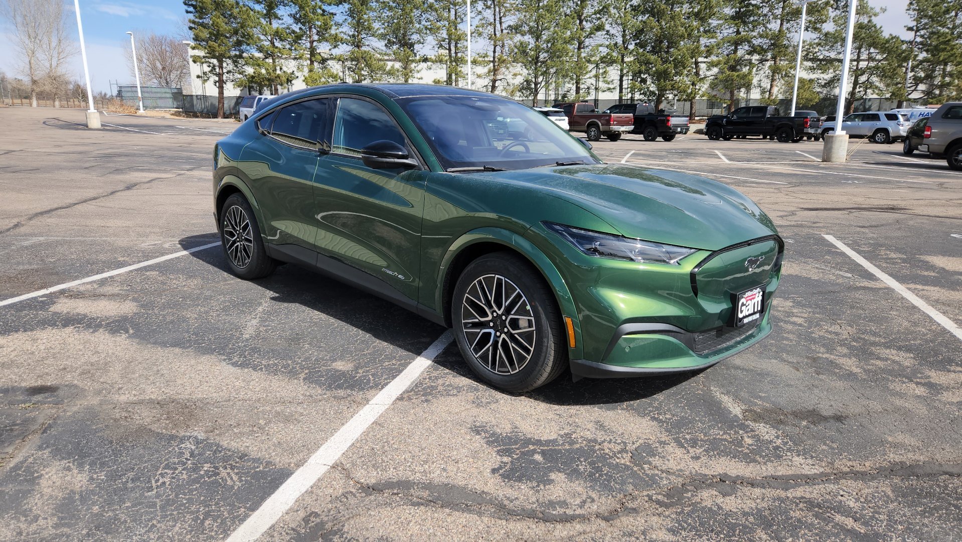New 2026 Eruption Green Metallic Ford Premium image 19
