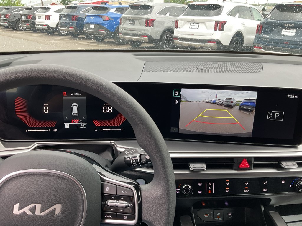 Used 2025 Panthera Metal Kia LX image 27