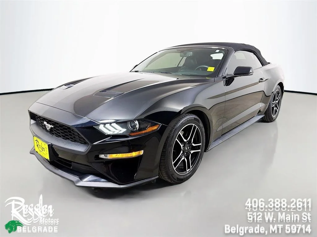 2019 Ford Mustang