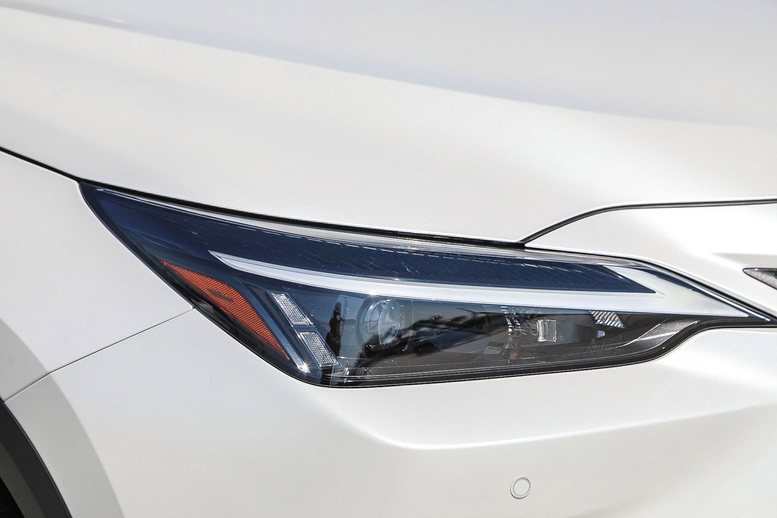 2025 Lexus NX 350 - Photo 7