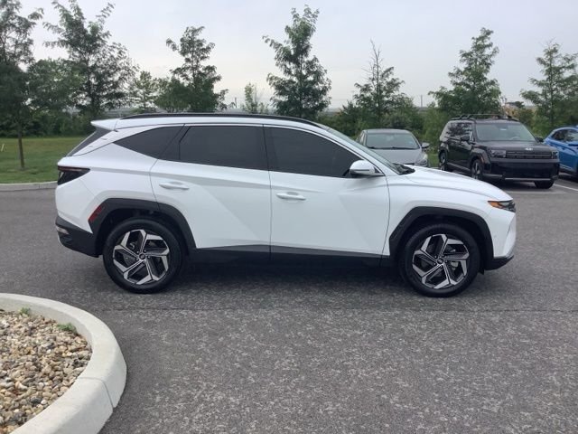 Used 2024 White Pearl Hyundai Limited image 6