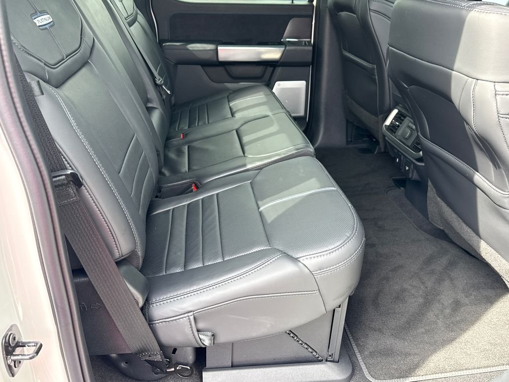 2025 Ford F-150 Platinum - Photo 15