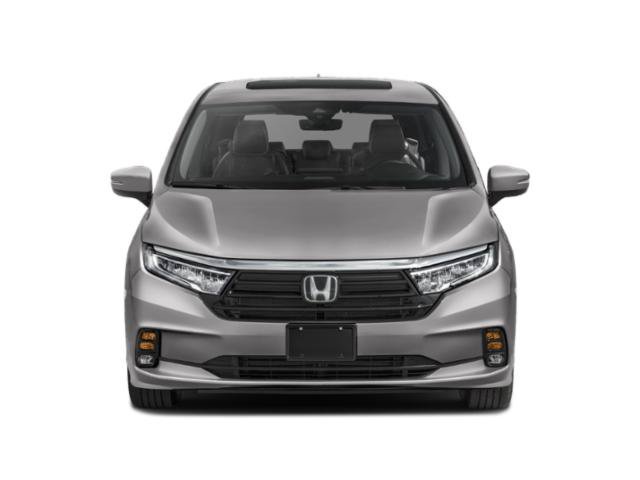 Used 2024 Black Honda Elite image 4