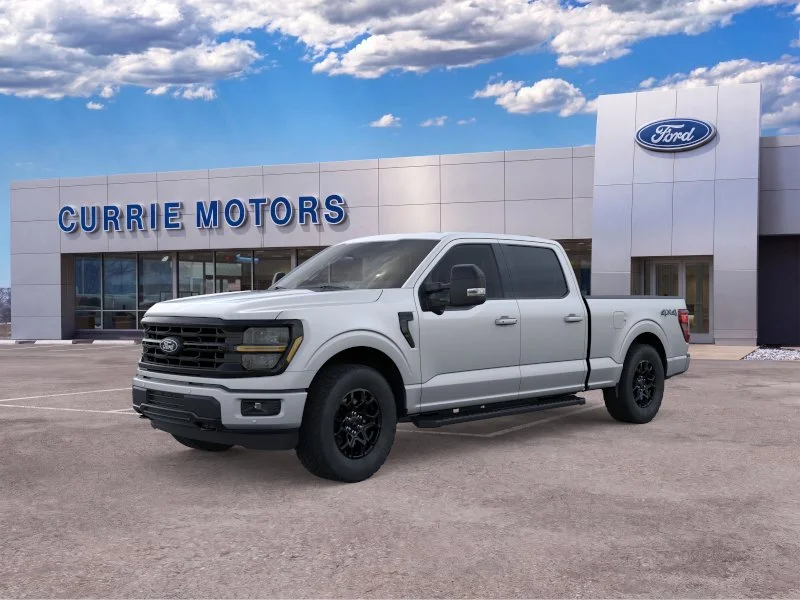 New 2026 Iconic Silver Metallic Ford LIFTED image 21