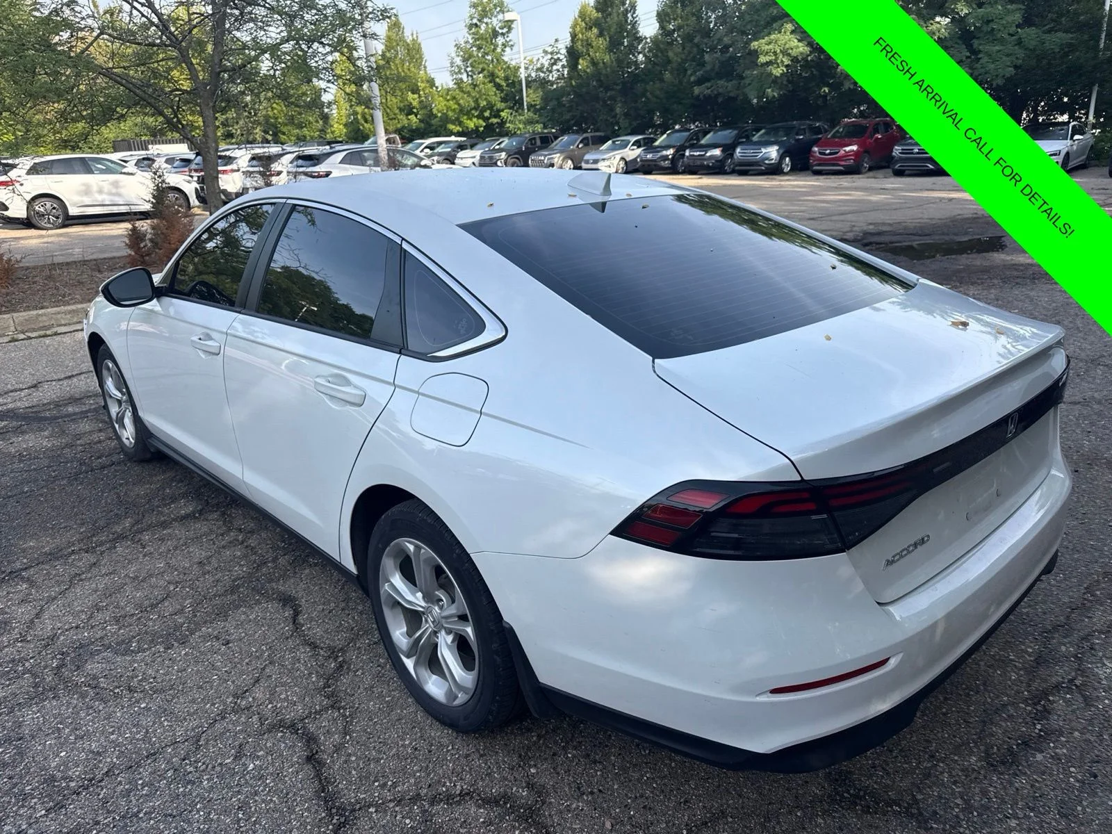 Used 2024 Platinum White Pearl Honda LX image 10