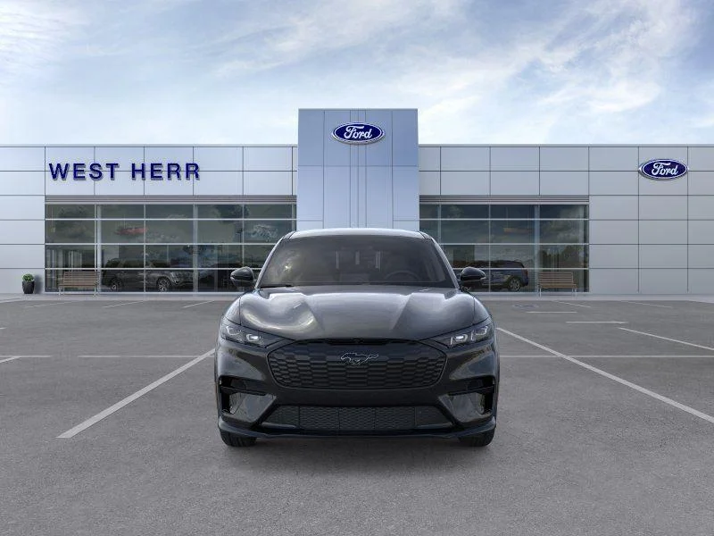 New 2026 Shadow Black Ford Premium image 6