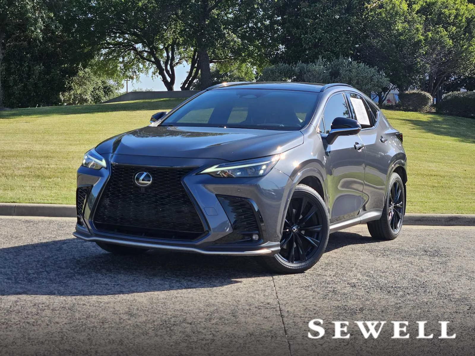 2024 Lexus NX 350 350 F-Sport AWD's photo