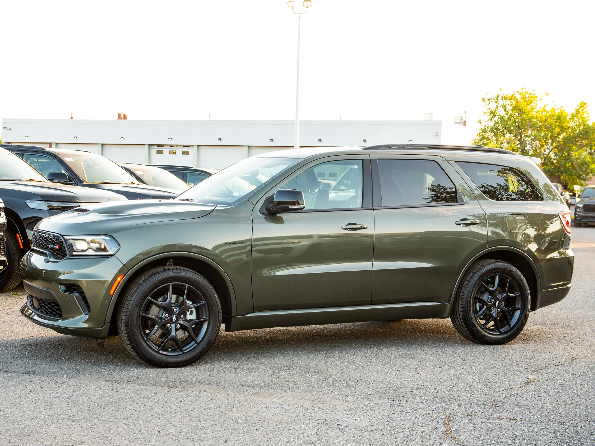 New 2026 Green Dodge GT HEMI V8 Plus* AWD, Sunroof, Remote Start, Ventilated/Heated Leather image 3