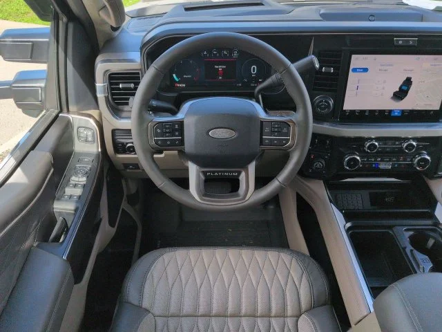New 2027 Gray Ford Platinum image 16
