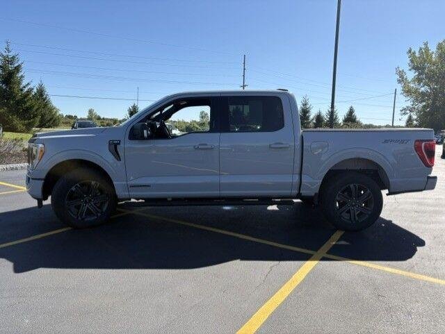 Used 2023 Avalanche Gray Ford XLT image 8