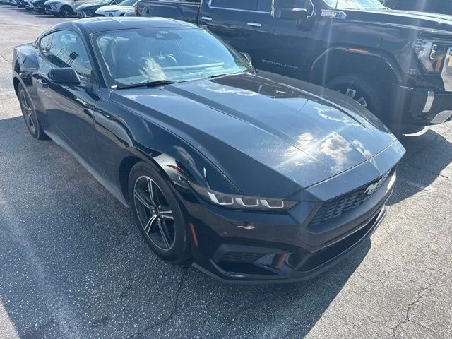 Used 2024 Black Ford EcoBoost Premium image 6