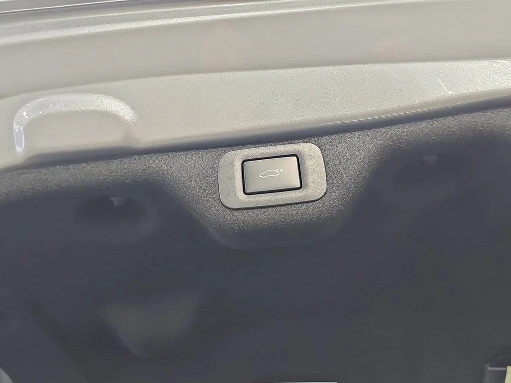 New 2026 Iridium Lexus PREMIUM image 13