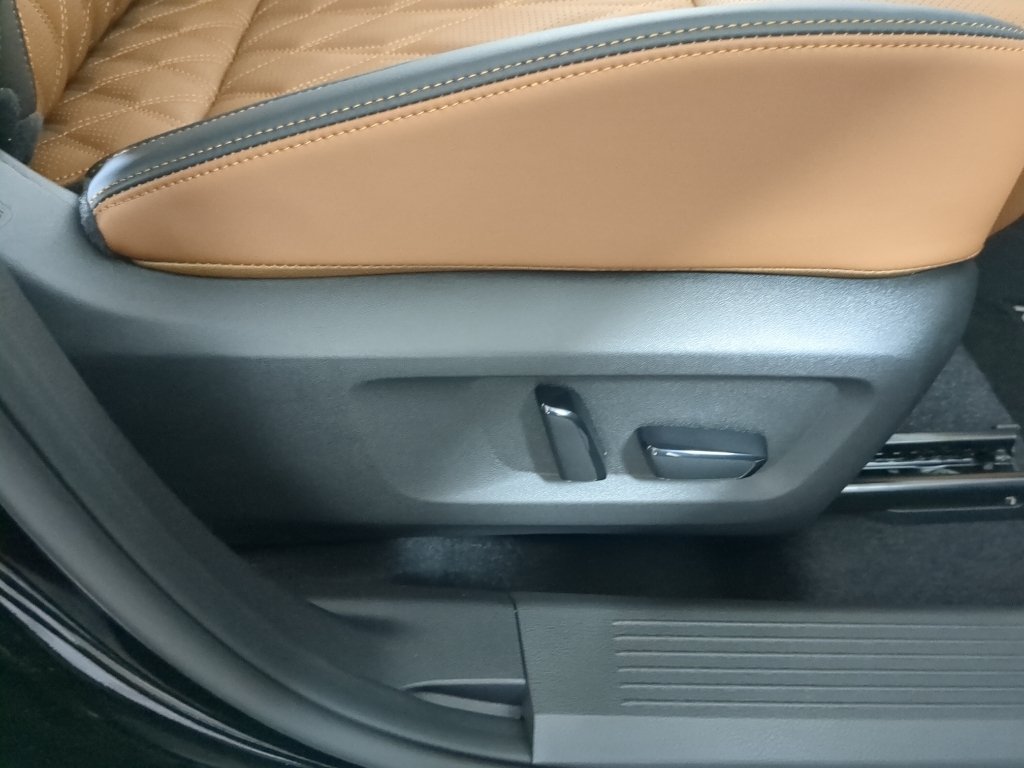 New 2026 Super Black Nissan Platinum image 24