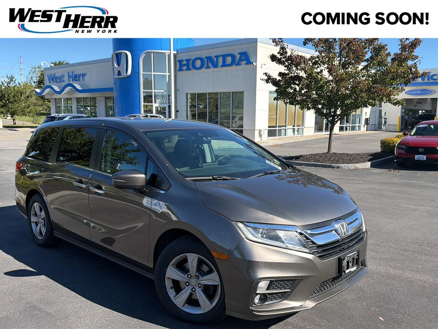 Used 2019 Pacific Pewter Metallic Honda EX image 1