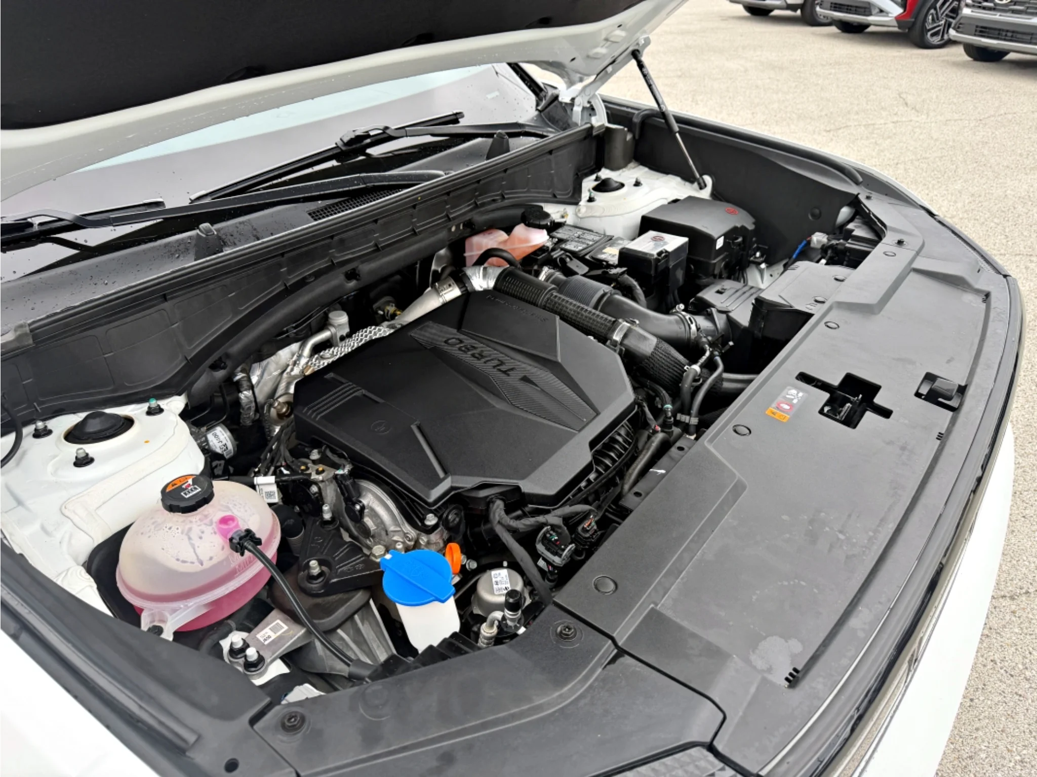 Used 2024 Serenity White Hyundai Limited image 26