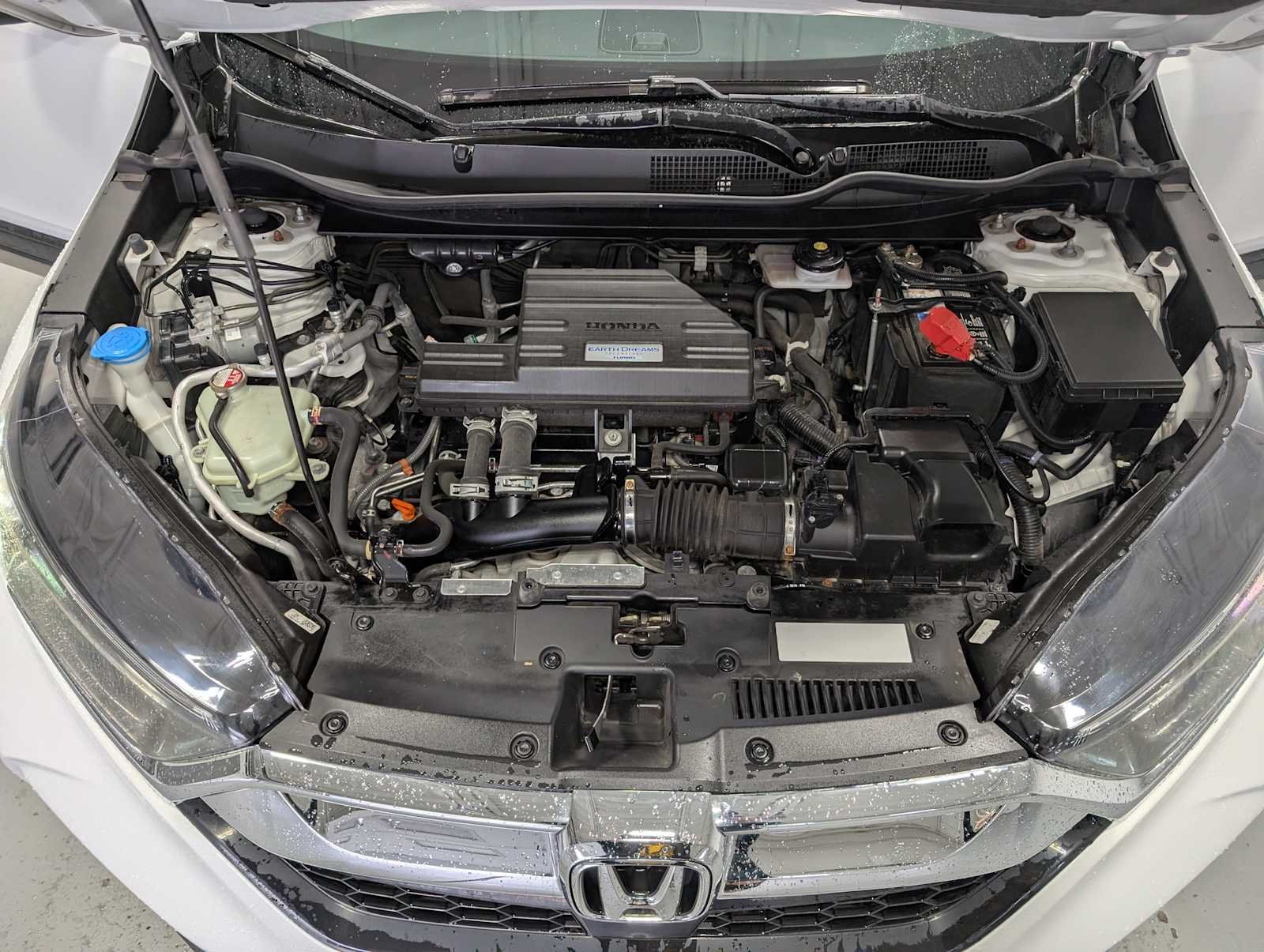 Used 2019 Platinum White Pearl Honda EX image 14