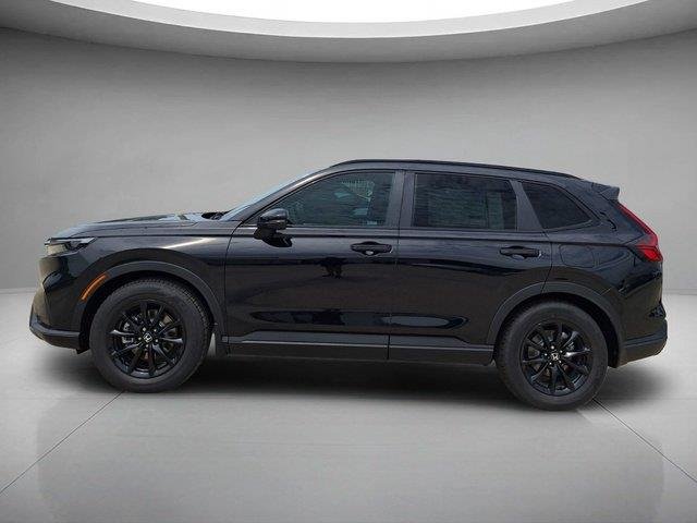 New 2026 Crystal Black Pearl Honda Sport image 2
