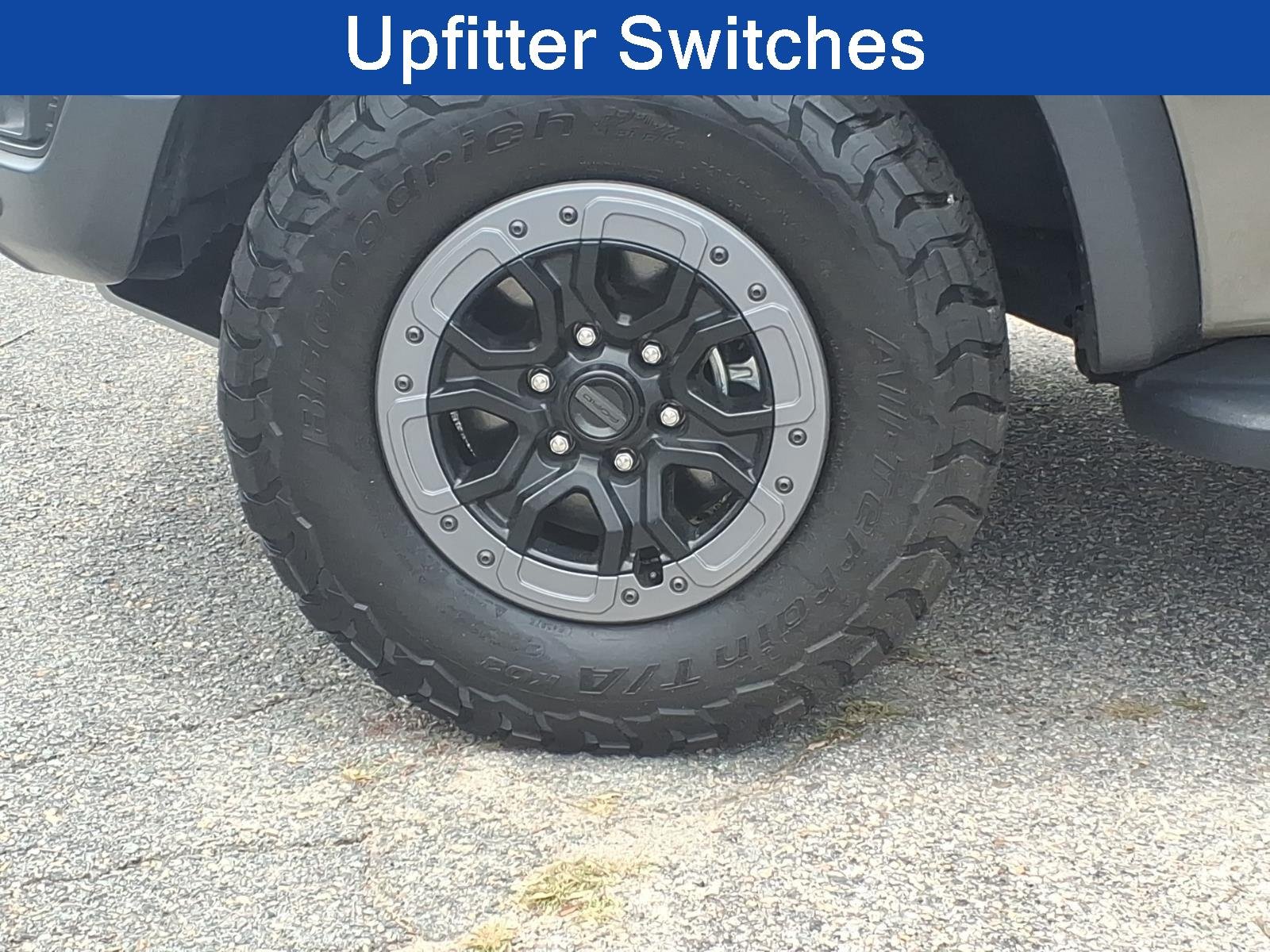 Used 2025 Marsh Gray Ford Raptor image 9